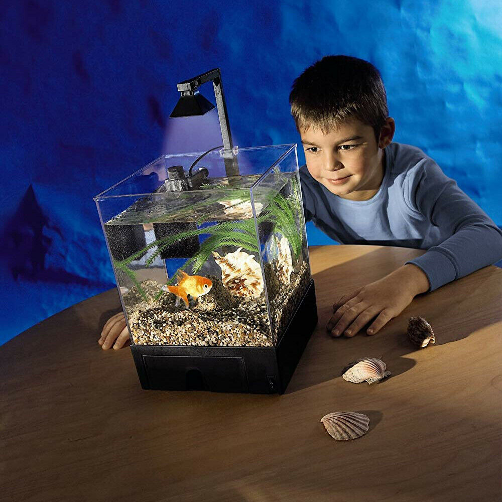 1.5 gal / 5.5L Aquarium Fish Tank for Home Office Light & & Pump EconoSuperStore