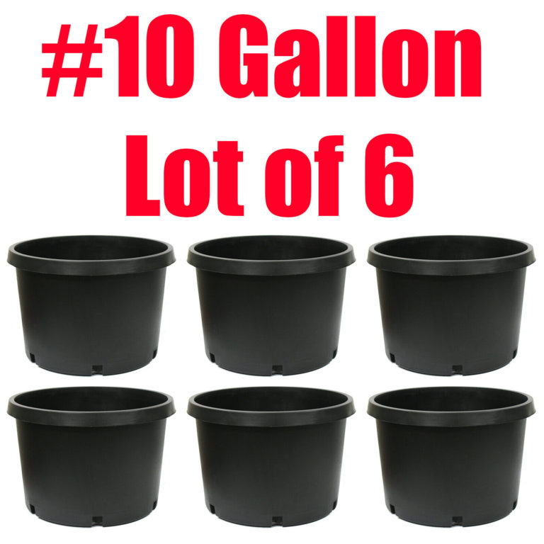 6pc 10 Trade Gallon Round Nursery Pots Plastic Dirt Grow Container Hydroponic EconoSuperStore